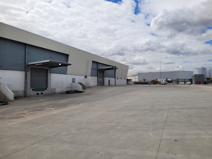 To Let commercial Property for Rent in Montague Gardens Western Cape